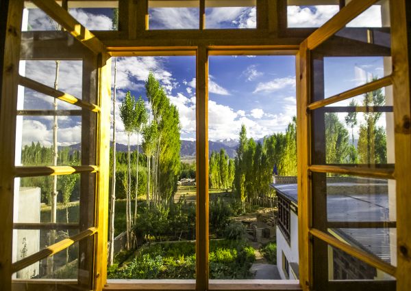 Cost of Wood Window Replacement in Eagle